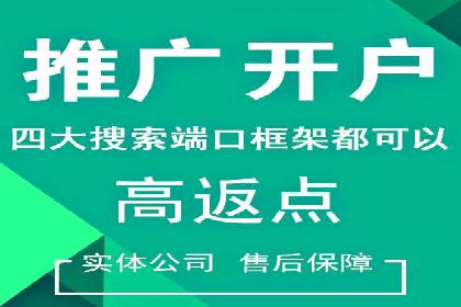 百度竞价开户的五大成功案例：如何进行精准投放？